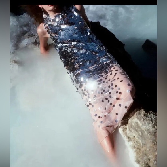 Zara Pink and Silver Sequin Midi Dress - Picture 2 of 4